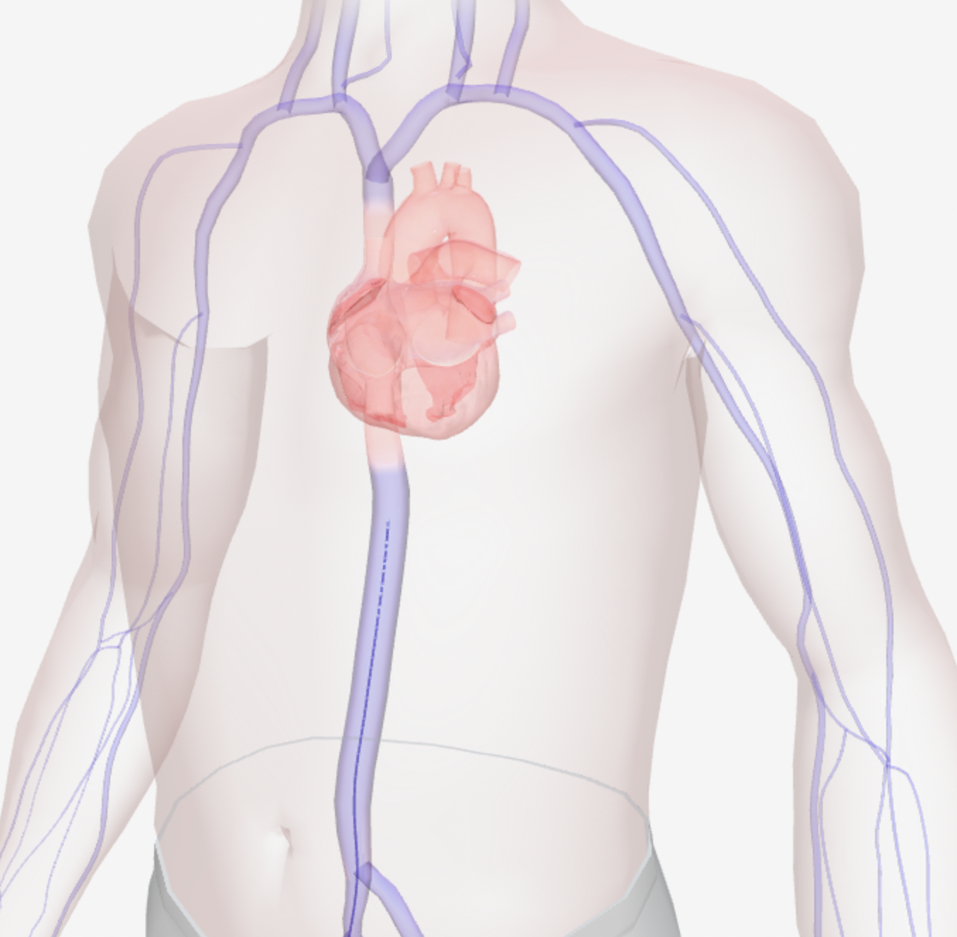 Case 12 - 3D Anatomy